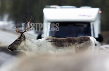 EA324178, Eastpress, Inari, Finland